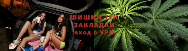тгк Богданович