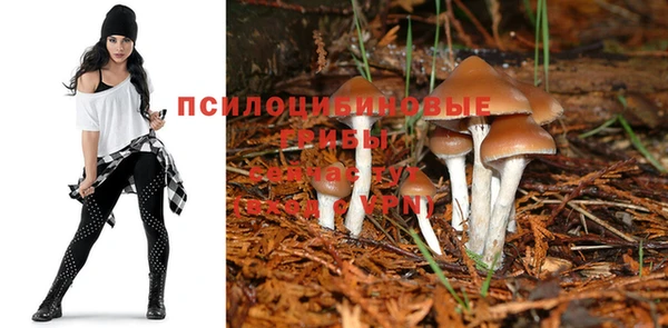 ешки Белоозёрский