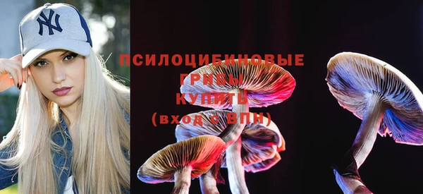 2c-b Богородицк