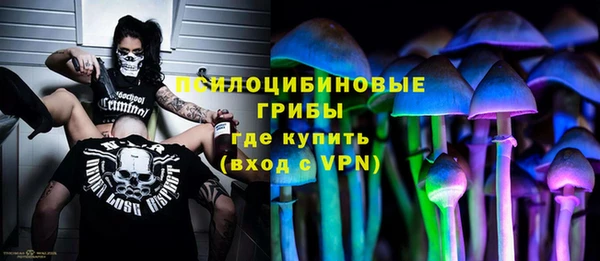 тгк Богданович